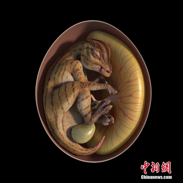 ?????? ??????? ?????????? ???????????? ?????? ?????? ???????