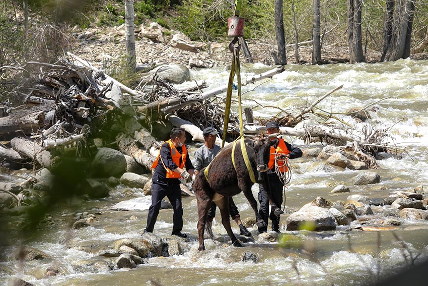 ?????? ????????: ????? ???? ??????? ?? ????? ?? 