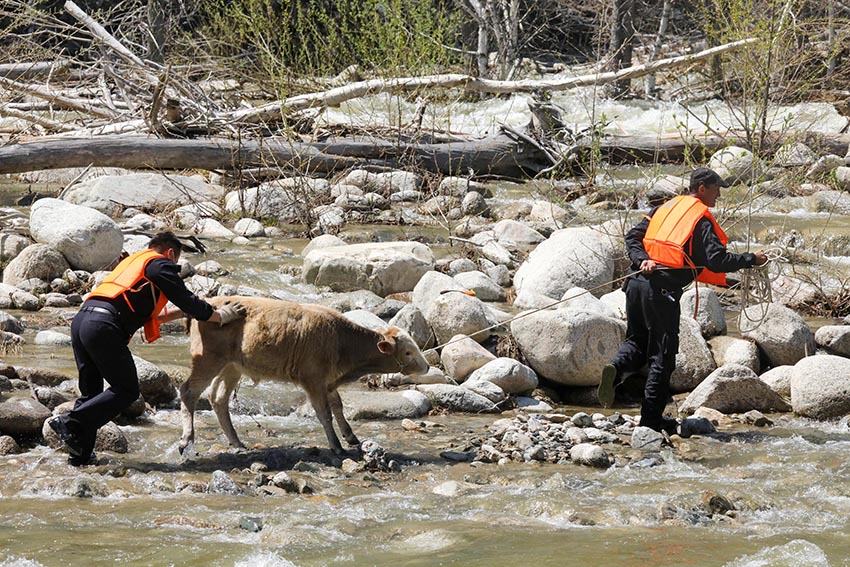 ?????? ????????: ????? ???? ??????? ?? ????? ?? 