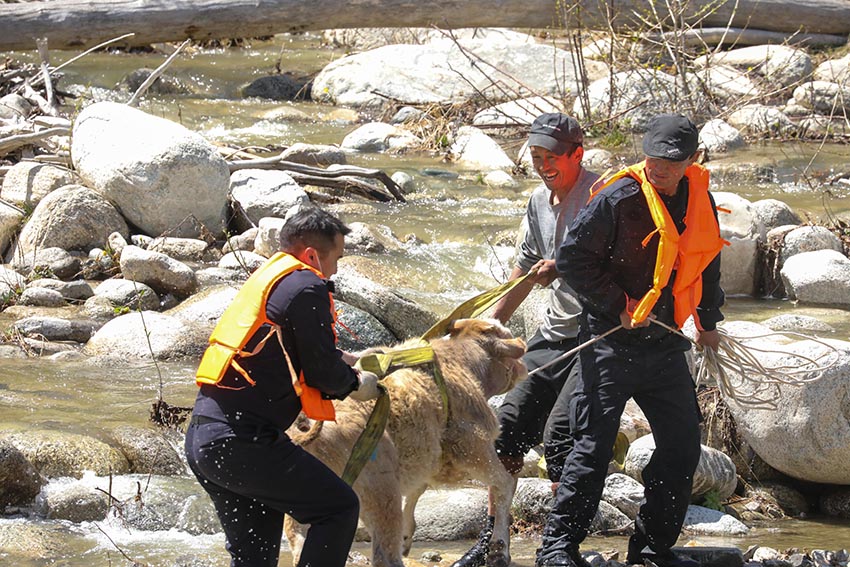 ?????? ????????: ????? ???? ??????? ?? ????? ?? 