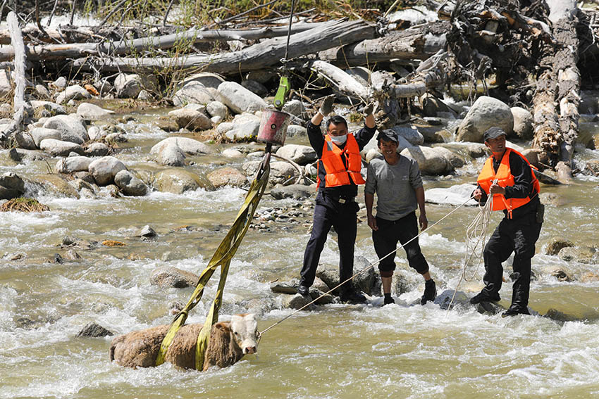 ?????? ????????: ????? ???? ??????? ?? ????? ?? 