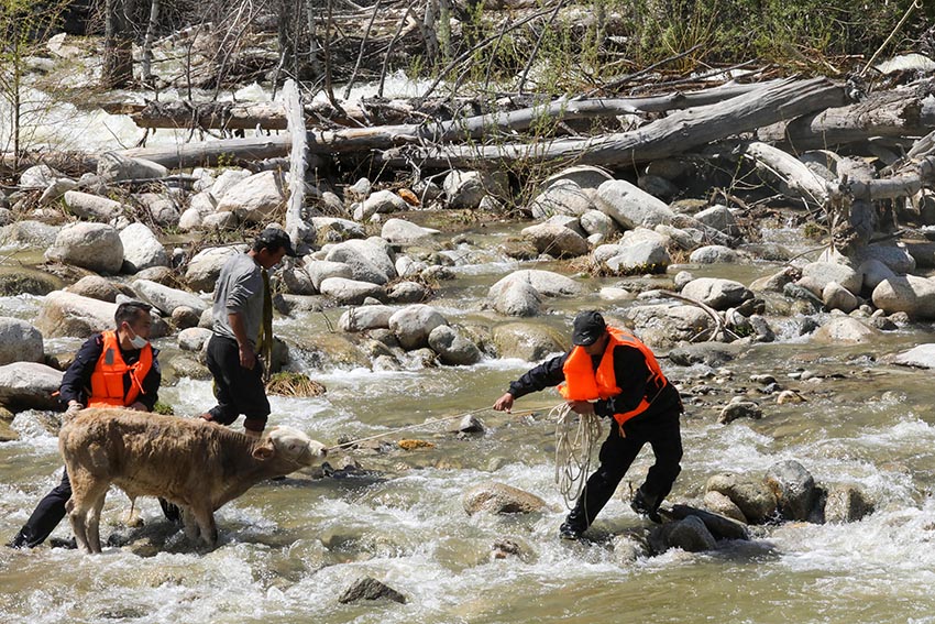 ?????? ????????: ????? ???? ??????? ?? ????? ?? 