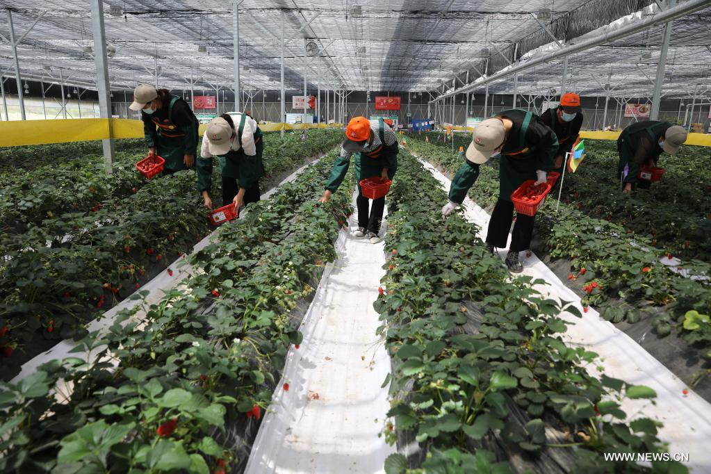 ??????? ??????? ????? ??? ?????? ??????