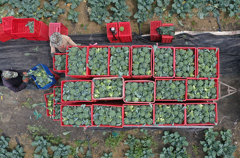 ??????? ? ?????: ?????? ?????? ???? ?? ??? ????????? 