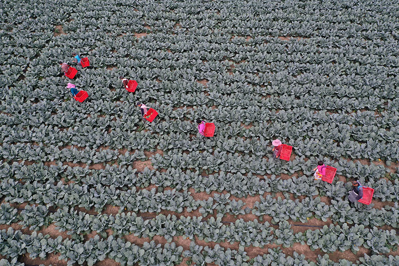 ??????? ? ?????: ?????? ?????? ???? ?? ??? ????????? 