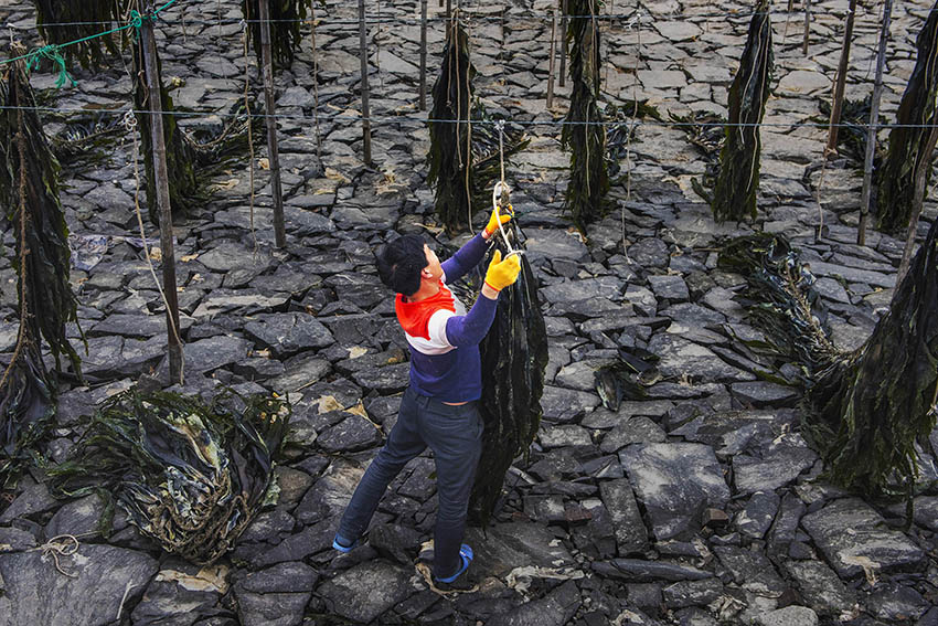 ?????? ???? ???? ???? ??? ?????