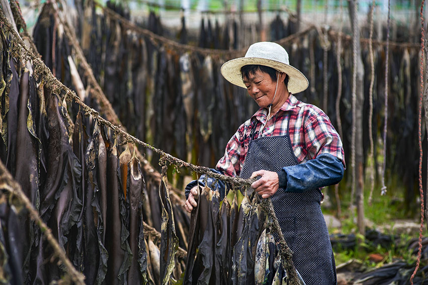 ?????? ???? ???? ???? ??? ?????