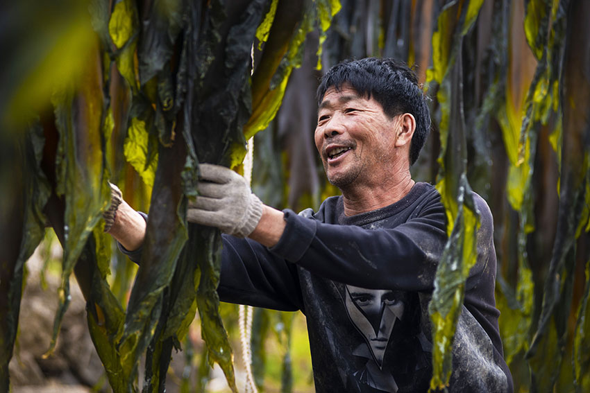 ?????? ???? ???? ???? ??? ?????