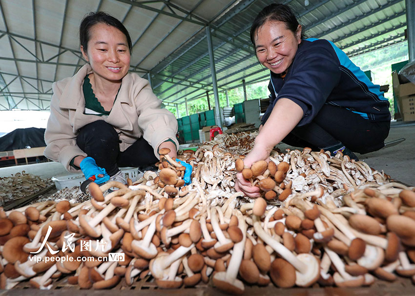 ?????? ??????? ???? ??? ???? ??????? ?? ?????? ??????