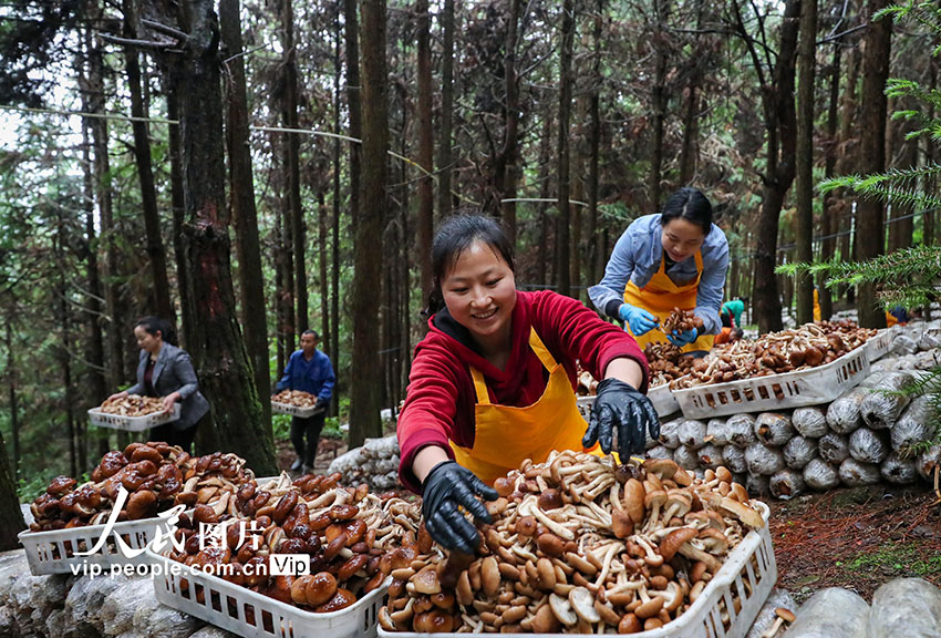 ?????? ??????? ???? ??? ???? ??????? ?? ?????? ??????