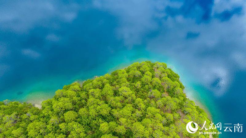 ????? ????? ????? ?????? ???????