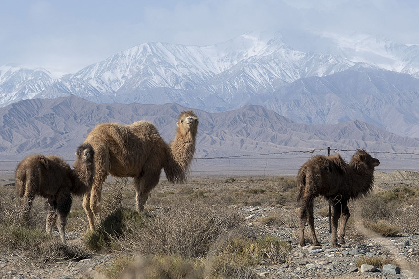 ?????? ?????: ????? ????? ???? ??? ?????? ?????