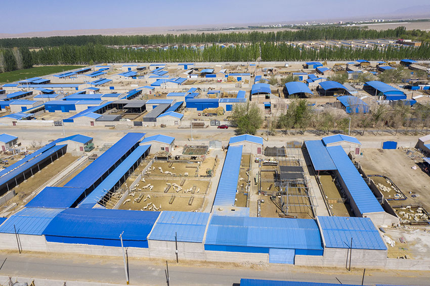 ?????? ?????: ????? ????? ???? ??? ?????? ?????