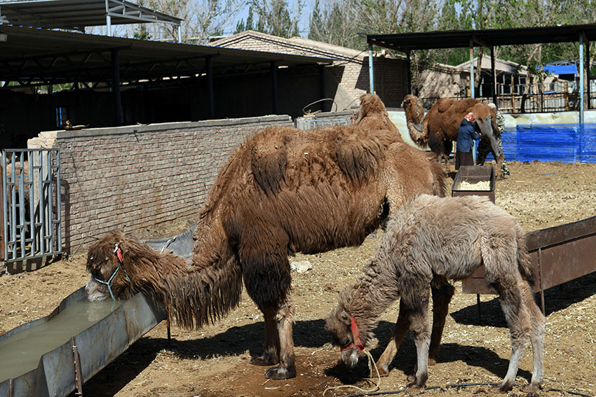 ?????? ?????: ????? ????? ???? ??? ?????? ?????