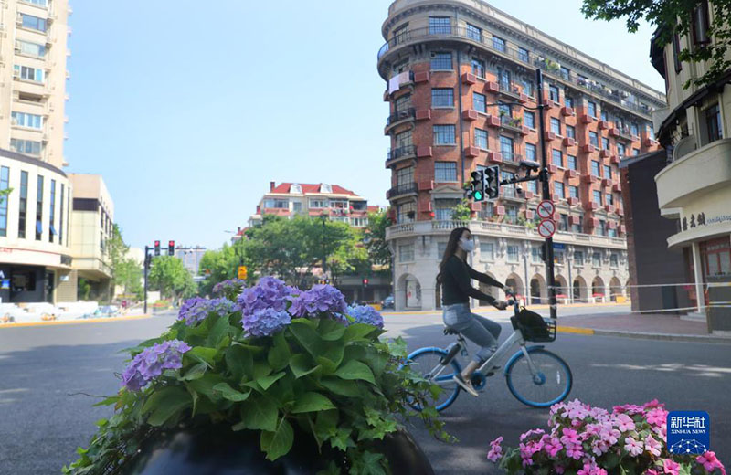 ??????? ???? ?????? ?????? ????????? ??????-19