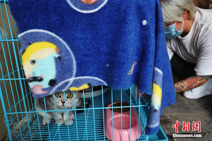 ???????: 18 ??????? ??????? ??? ???? ?????? ????????? ??????? ??? ????? ??????? ???? ?????? ?????? ?????