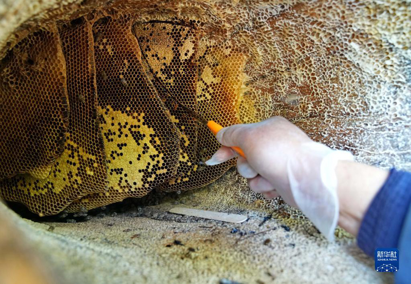 ????? ????? ?? ???? ?????? ???????? ?? ?????? ???