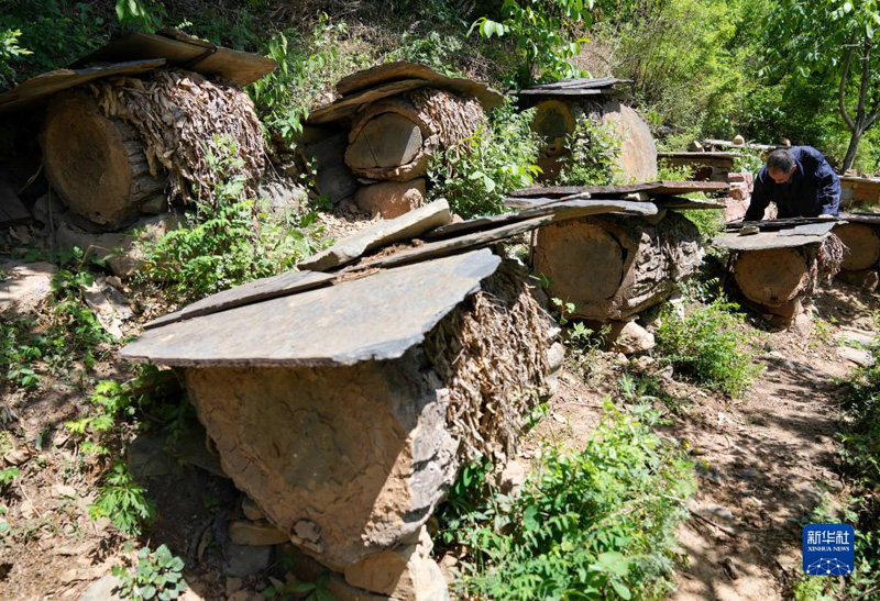 ????? ????? ?? ???? ?????? ???????? ?? ?????? ???