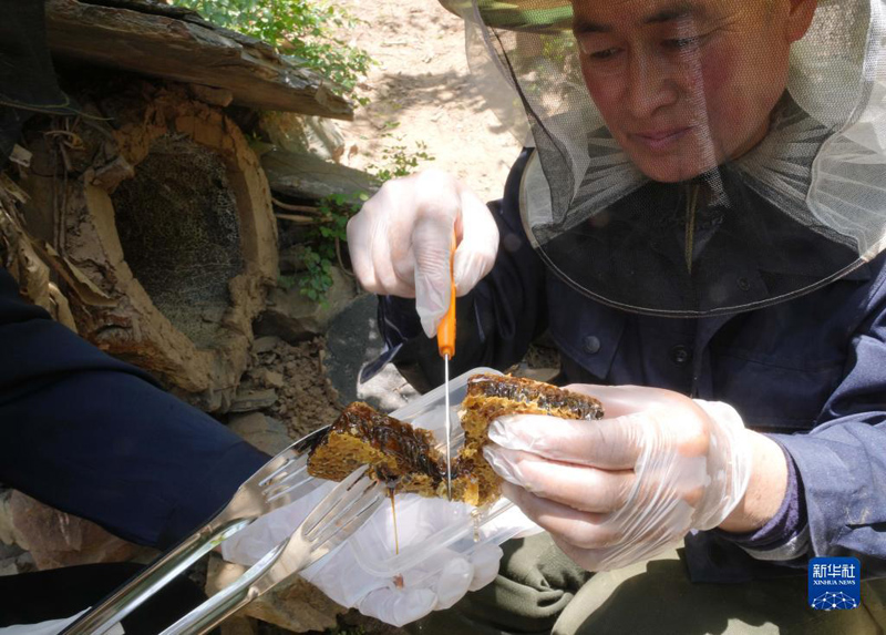 ????? ????? ?? ???? ?????? ???????? ?? ?????? ???