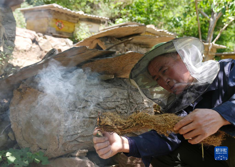 ????? ????? ?? ???? ?????? ???????? ?? ?????? ???