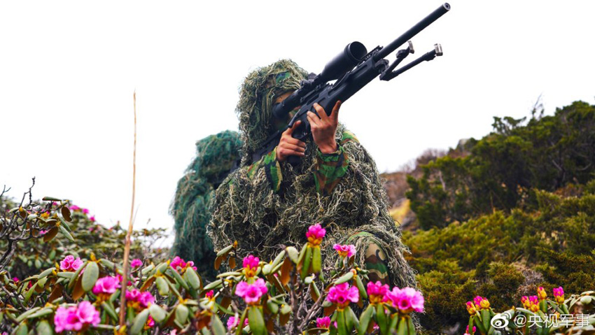 ???? ????????? ????? ?????? ????? ????????  ???? ??????? ???????