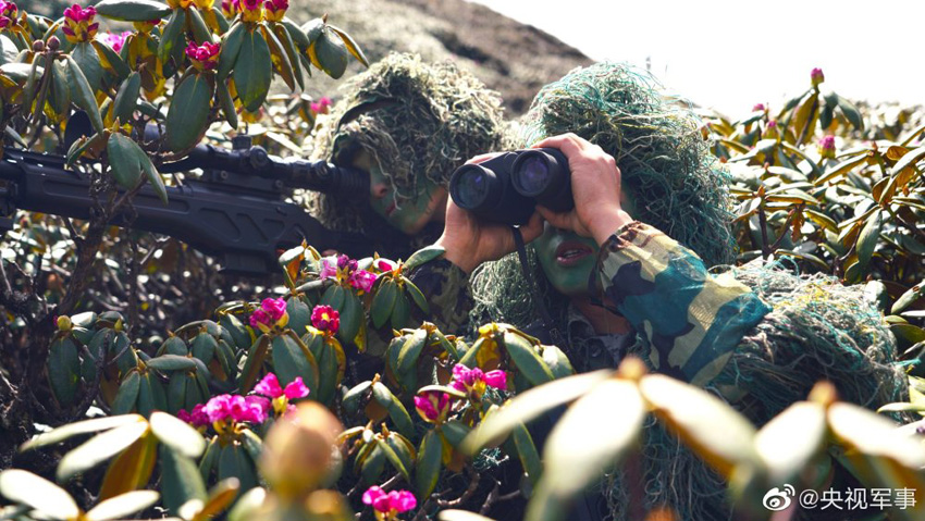 ???? ????????? ????? ?????? ????? ????????  ???? ??????? ???????