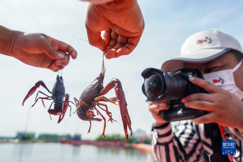 ??????? ?????? ?????? ?????? ????? ?????? ??? 22 ???? ???? ?????