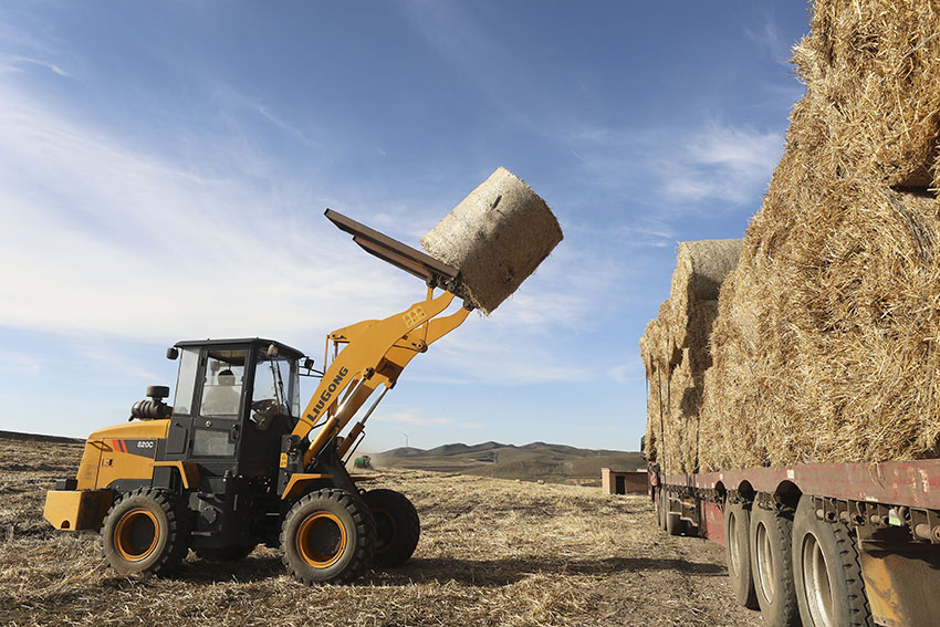 ???: ????? ????? ???? ??????? ??????? ??? ????