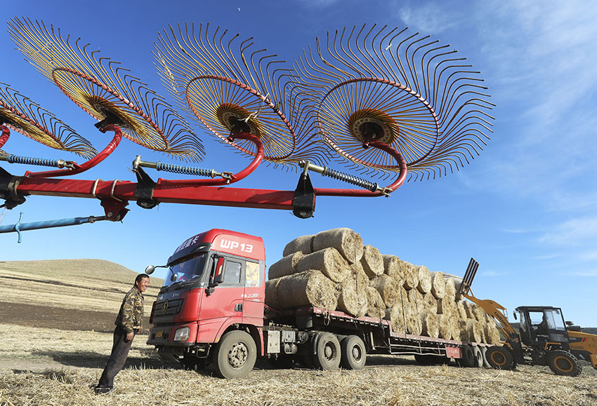 ???: ????? ????? ???? ??????? ??????? ??? ????