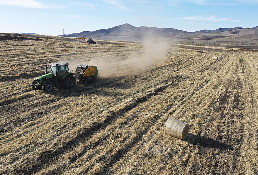 ???: ????? ????? ???? ??????? ??????? ??? ????