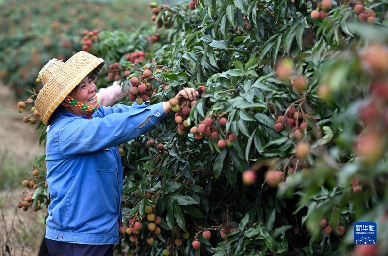 ????? ??????? ???? ????? ??? ????? ??????? ??????