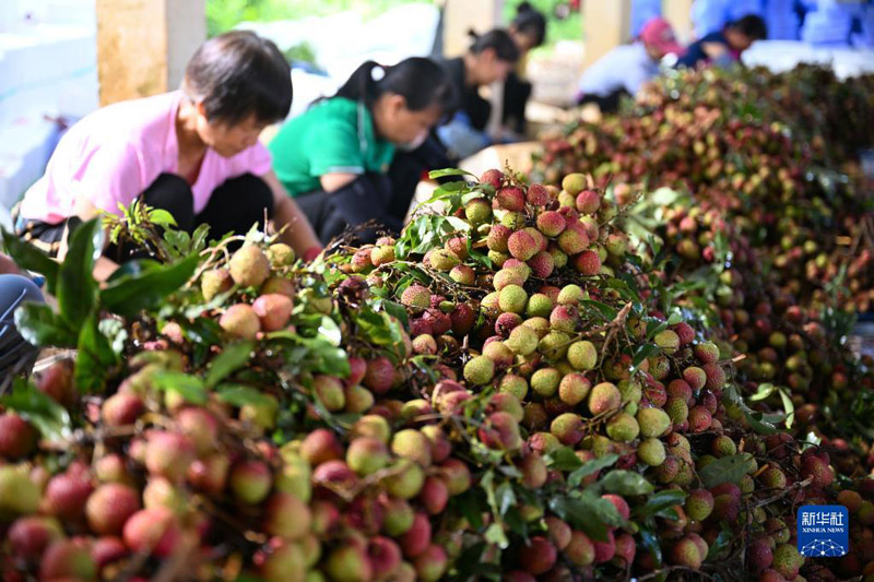 ????? ??????? ???? ????? ??? ????? ??????? ??????