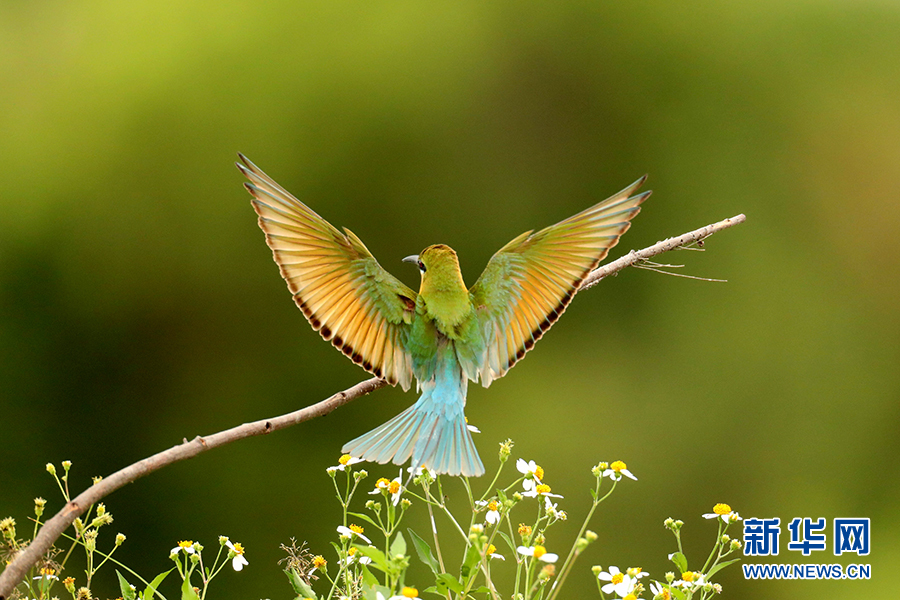 ???? ????? .. ???? ???? ????? ?? 