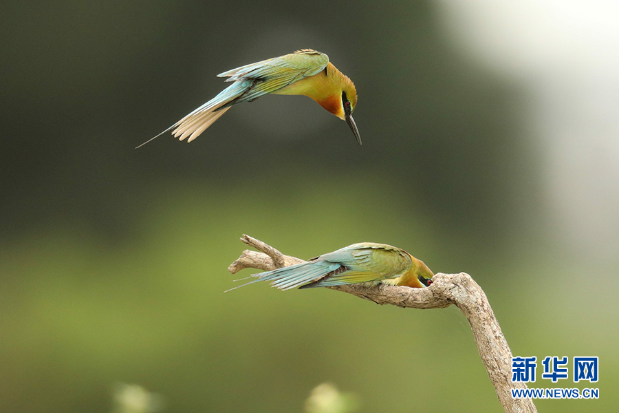 ???? ????? .. ???? ???? ????? ?? 