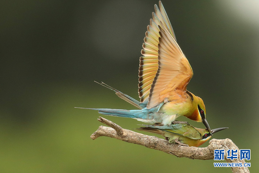 ???? ????? .. ???? ???? ????? ?? 