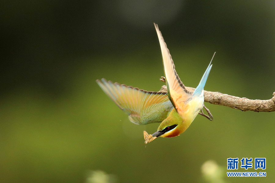 ???? ????? .. ???? ???? ????? ?? 