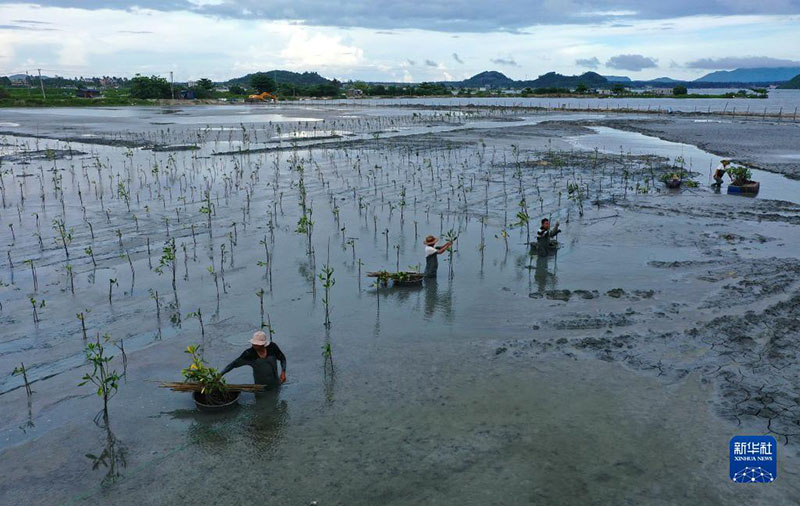 ??????: ?????? ???? ????? ??? ?????