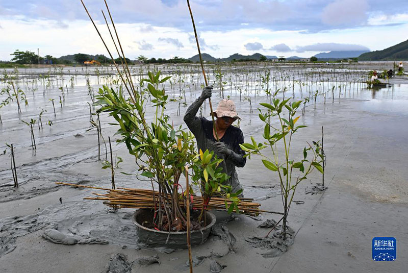 ??????: ?????? ???? ????? ??? ?????