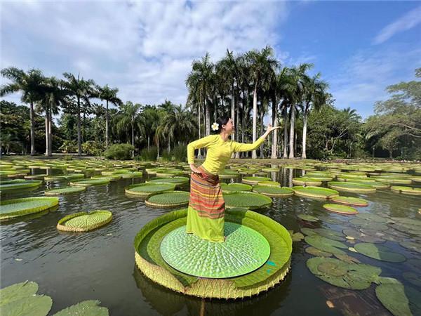 ???????? ???????? ????? ?? ????? ??????????? ???????