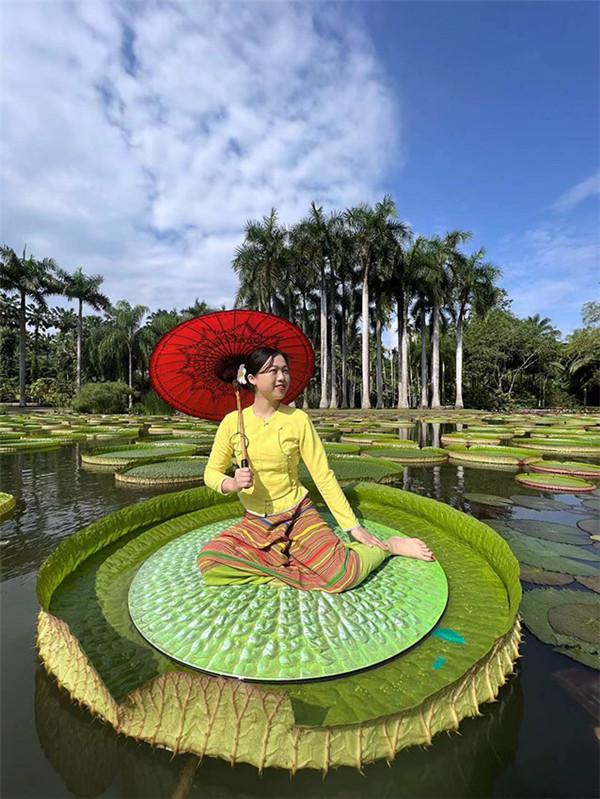 ???????? ???????? ????? ?? ????? ??????????? ???????