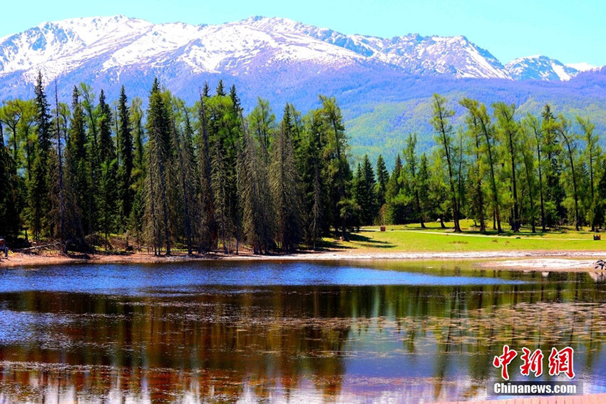 ????? ????? ????? ???????