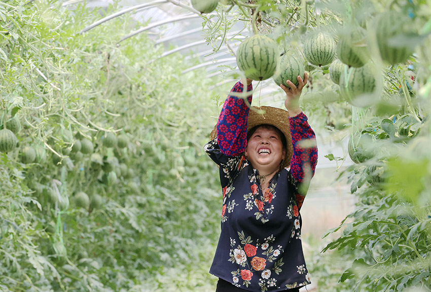 ???? ?????? ???????? ?? ??????? ???????