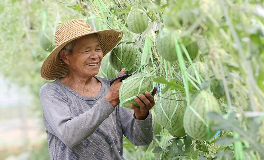 ???? ?????? ???????? ?? ??????? ???????