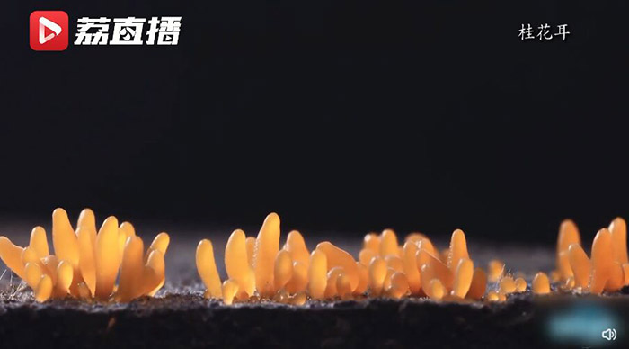 ?????? ???? ??? ???????: ???? ????? ?????? ?? ????? ????????