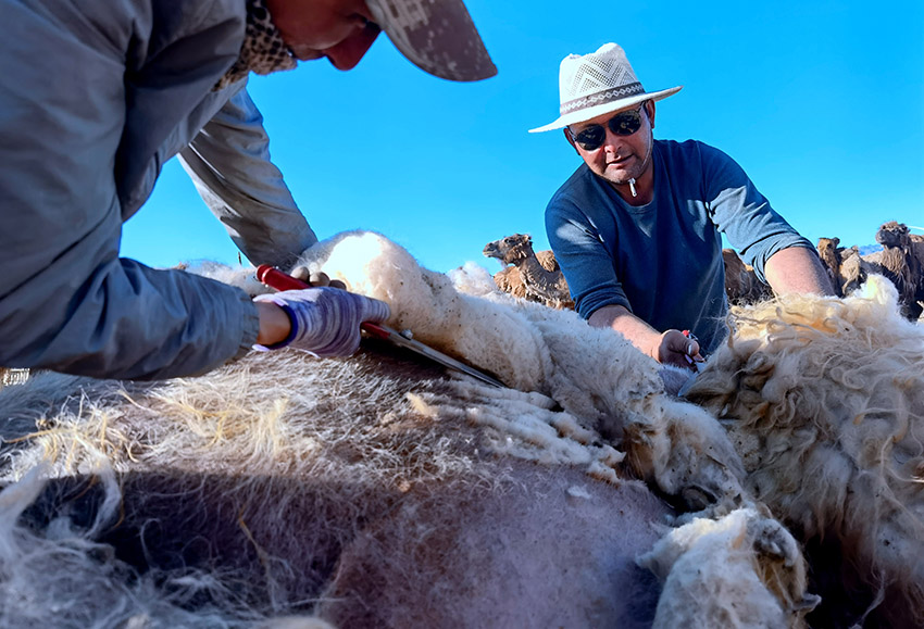 ????? ????? ?? ????????? ???? ??? ????? ????????