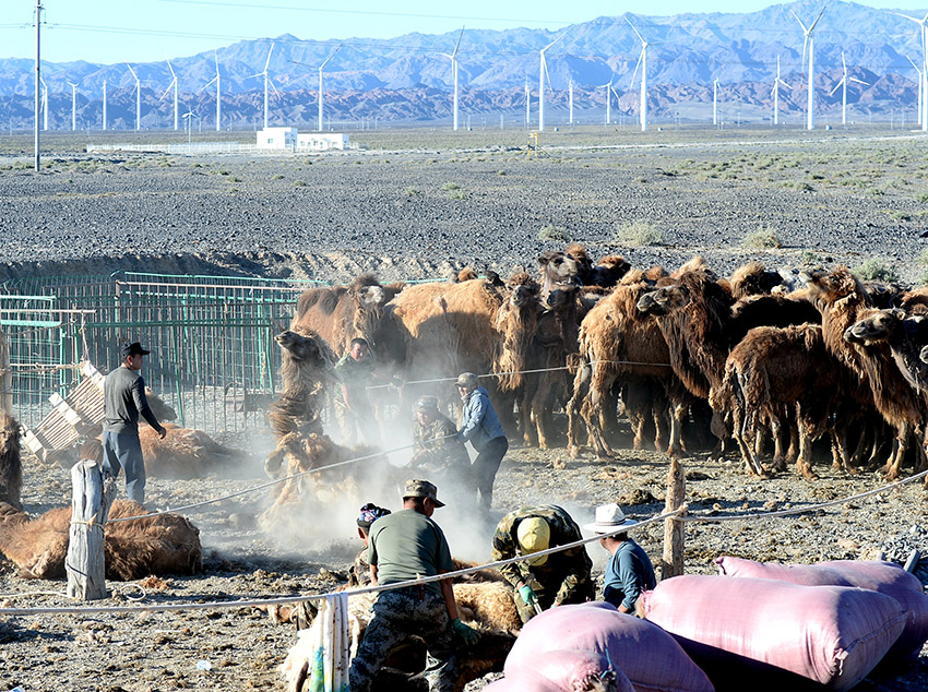 ????? ????? ?? ????????? ???? ??? ????? ????????