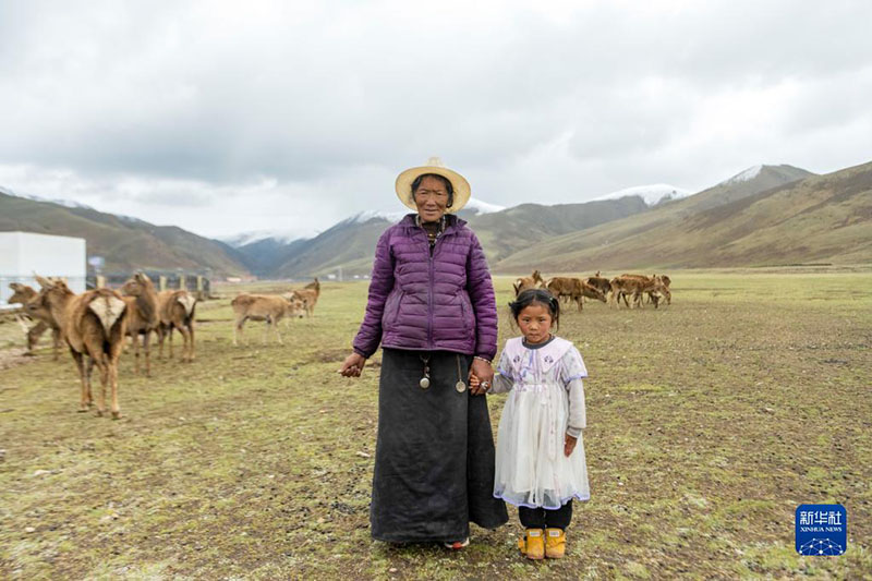 ????? ????? ?????? ???????? ??? ???? ???????? - ?????