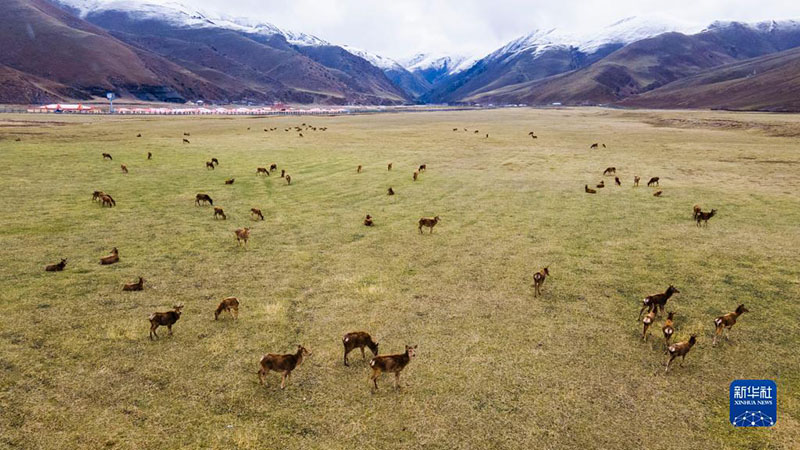 ????? ????? ?????? ???????? ??? ???? ???????? - ?????