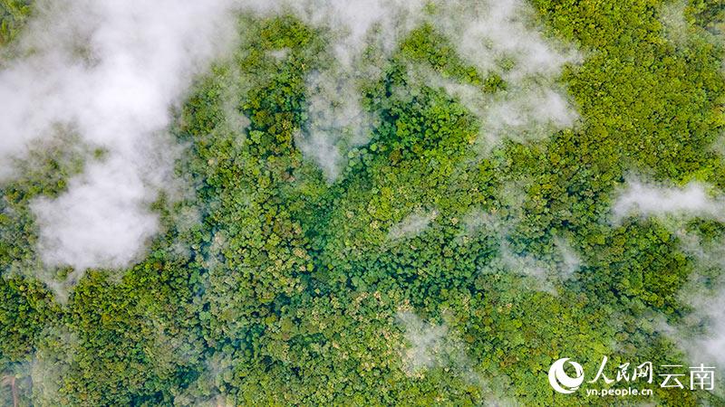 ????? ??? ????? ?????? ??????? ?? ??? ???????? ??????