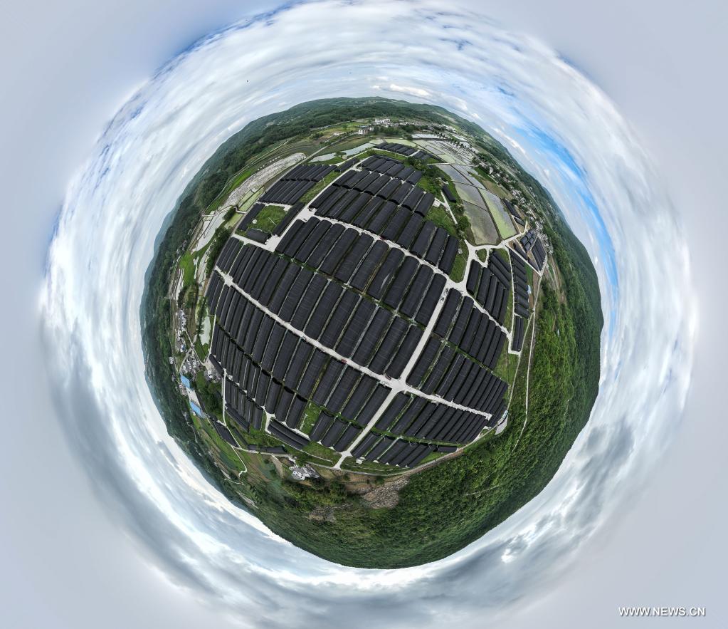 ????? ????? ????? ??? ????? ???? ????????? ?? ???? ???? ?????